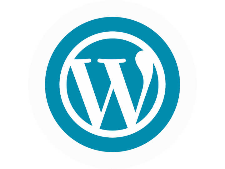 Website Designing Services in Noida 4 WordPress Website Design Services